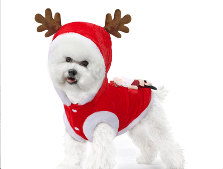 Kerst Outfit voor kleine hondjes - Kerstkleding Hond