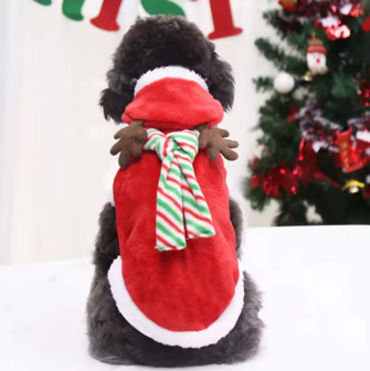 Kerstkleding Hond RUDOLF ROOD fleece met streep sjaal