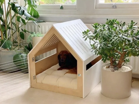 Modern honden- en kattenhuis met acryldeur Dogs&amp;Co WIT 2024 versie