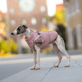 Warmer Hundemantel von Dogs&amp;Co, Modell Soft Pink 2.0