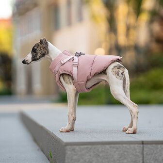 Warmer Hundemantel von Dogs&amp;Co, Modell Soft Pink 2.0