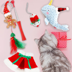 Kerst cadeaubox voor Katten