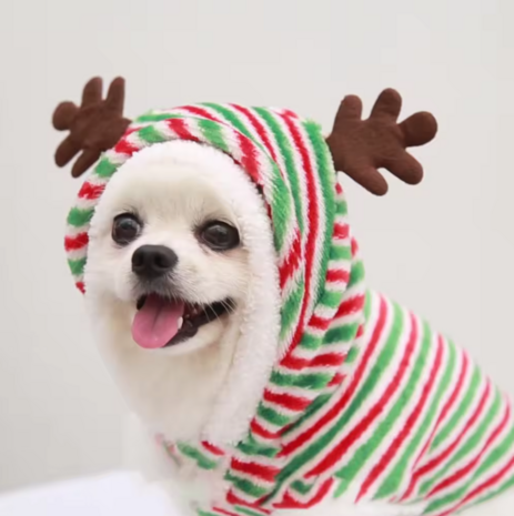 Kerst Outfit voor kleine hondjes - Kerstkleding Hond RUDOLF streep fleece