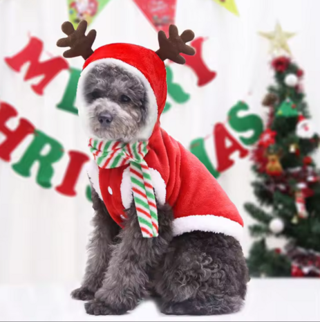 Kerstkleding Hond RUDOLF ROOD fleece met streep sjaal