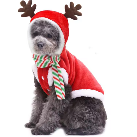 Kerstkleding Hond RUDOLF ROOD fleece met streep sjaal