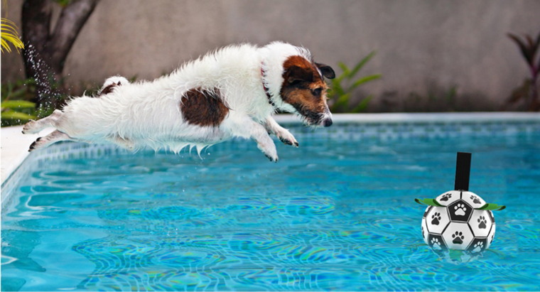 Honden Speelgoed Bal Voetbal Extra Sterk Met Handvaten  - 15 cm 