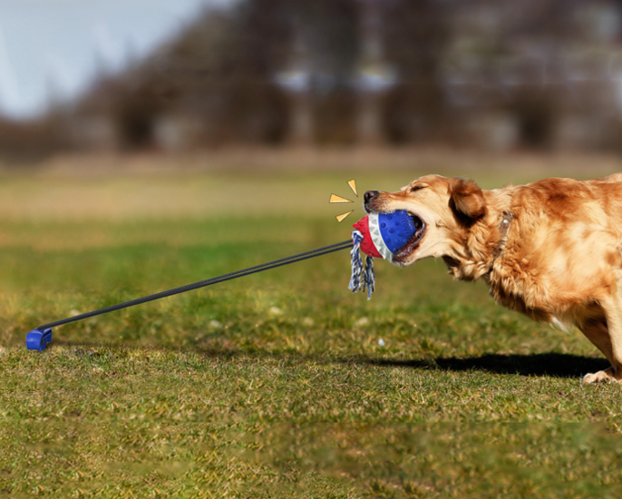 Dogs&amp;Co Trekspeeltje  met grondpen  nieuw model Blauw