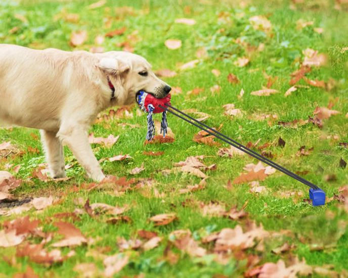 Dogs&amp;Co Trekspeeltje  met grondpen  nieuw model Blauw