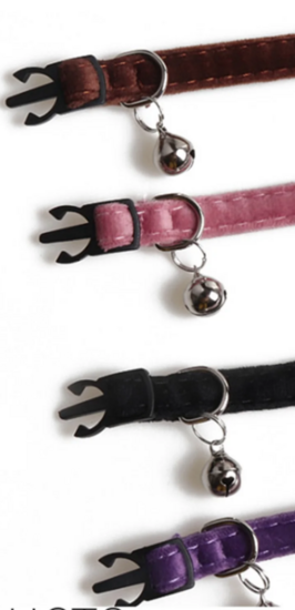 Kattenhalsband met strik Zwart Velvet