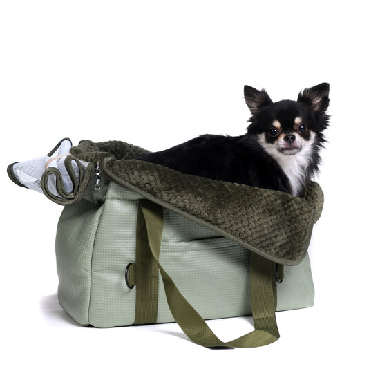 Dogs&amp;Co Luxe Reistas Design Groen 