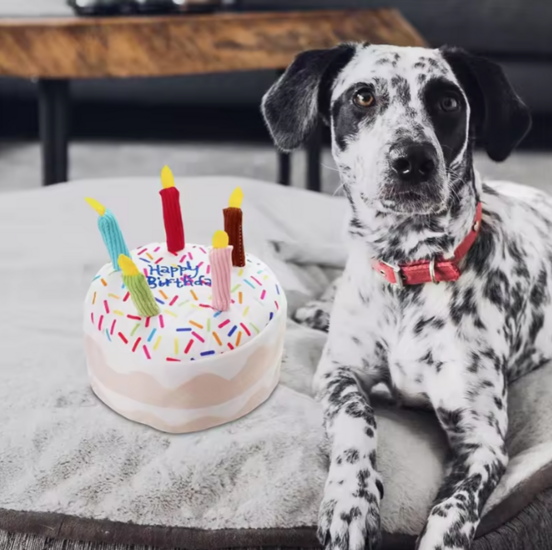 Dogs&amp;Co Birthday Party Cake