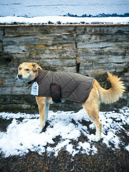 Dogs&amp;Co Honden Winterjas Bruin Quilt