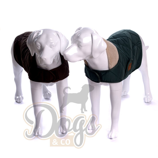 Dogs&amp;Co Honden Winterjas Groen Quilt