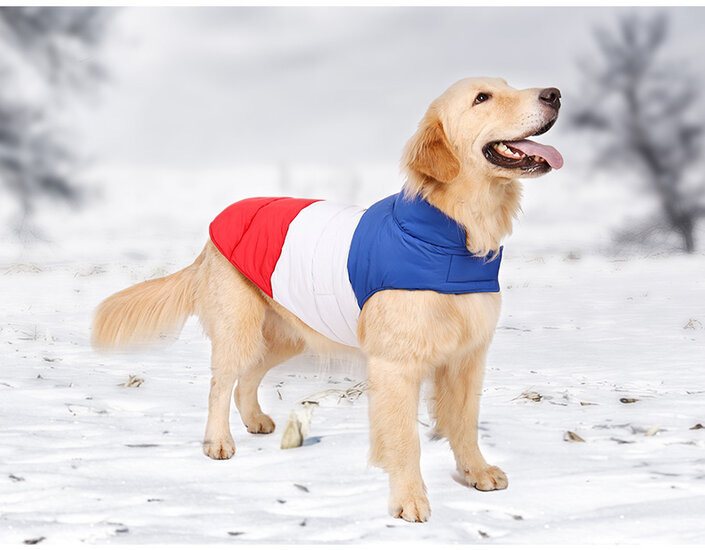 Dogs&amp;Co Kleurrijke Reversible Winterjas Blauw