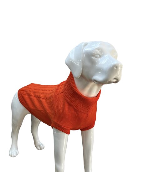  Hondentrui  Oranje Voor grote honden