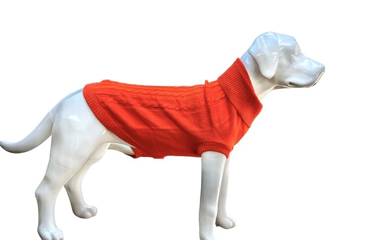  Hondentrui  Oranje Voor grote honden