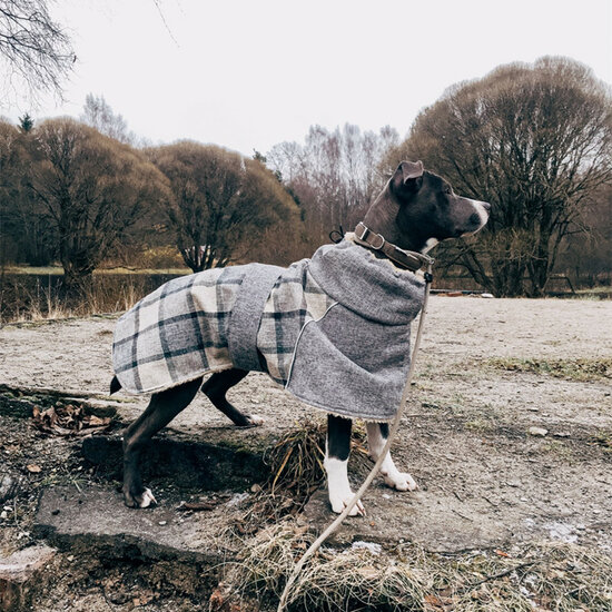 Honden Winterjas Ruit Bruin