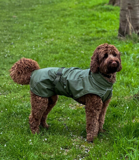 Dogs&amp;Co Honden Regenjas Raindog Groen