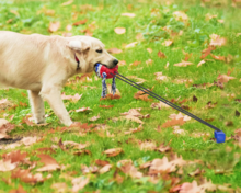 Dogs&amp;Co Trekspeeltje  met grondpen  nieuw model Blauw