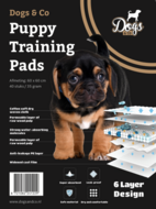 Dogs&amp;Co Puppypads 60x60cm 40 stuks