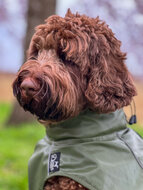 Dogs&amp;Co Honden Regenjas Raindog Groen