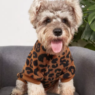 Teddy Fleece Hondentrui Leopard Bruin