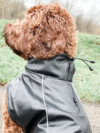 Dogs&amp;Co Honden Regenjas Raindog Black