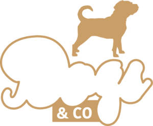 Logo Dogs & Co